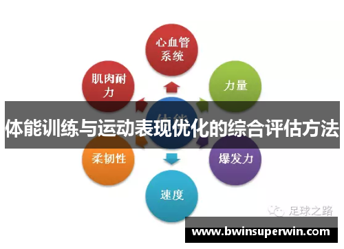 体能训练与运动表现优化的综合评估方法